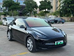 Tesla Model Y Rear-Wheel Drive - ფოტო 3