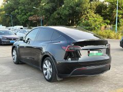 Tesla Model Y Rear-Wheel Drive - ფოტო 7