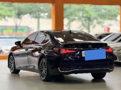 Lexus ES 300h Premium Edition - ფოტო 10