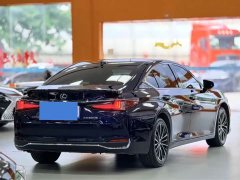 Lexus ES 300h Premium Edition - ფოტო 9