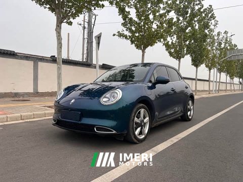 2022 ORA Good Cat 2021 400km Standard Range Athena Edition LFP Battery - ავტომობილი ჩინეთიდან