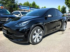 Tesla Model Y Long Range All-Wheel Drive - ფოტო 1