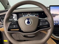 Denza D9 2022 DM-i 970 AWD Flagship - ფოტო 10