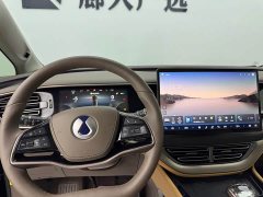 Denza D9 2022 DM-i 970 AWD Flagship - ფოტო 11