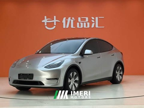 2021 Tesla Model Y Standard Range RWD - ავტომობილი ჩინეთიდან