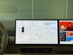 Li Auto Li Xiang MEGA Ultra - ფოტო 19