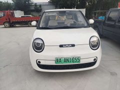 Changan Lumin Treasure Edition 205km Cool Love White CATL - ფოტო 2
