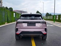 Lynk & Co Geely Lynk & Co 06 2021 1.5T Shero Pink Special Edition - ფოტო 13
