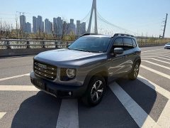 Havaldog 2022 1.5T DCT two-wheel drive Labrador version - ფოტო 1