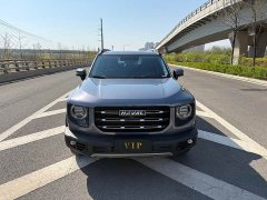 Havaldog 2022 1.5T DCT two-wheel drive Labrador version - ფოტო 2