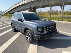 Havaldog 2022 1.5T DCT two-wheel drive Labrador version - ფოტო 3