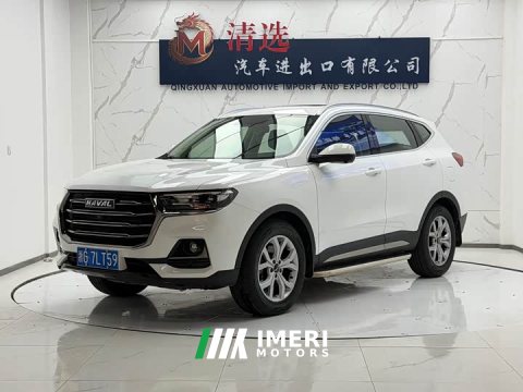 2022 Haval H6 2021 National Trend 1.5T Automatic Champion Edition - ავტომობილი ჩინეთიდან
