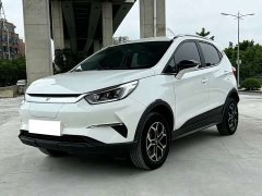 BYD Yuan Pro 2021 401KM Luxury - ფოტო 1
