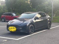Tesla Model Y Rear-Wheel Drive - ფოტო 1