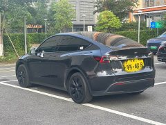 Tesla Model Y Rear-Wheel Drive - ფოტო 19