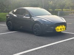 Tesla Model Y Rear-Wheel Drive - ფოტო 3