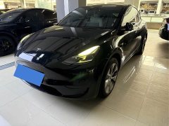 Tesla Model Y Rear-Wheel Drive - ფოტო 1