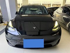 Tesla Model Y Rear-Wheel Drive - ფოტო 2