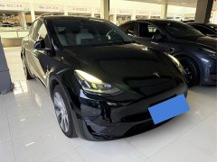 Tesla Model Y Rear-Wheel Drive - ფოტო 3