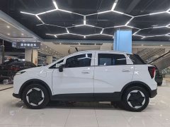 Geely Geometry E Firefly 301km Starlight - ფოტო 2