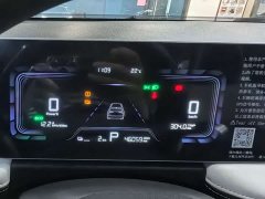 Geely Geometry E Firefly 301km Starlight - ფოტო 7
