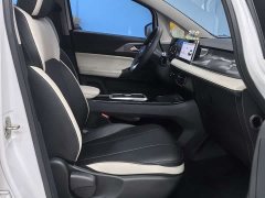 Geely Geometry E Firefly 301km Starlight - ფოტო 9