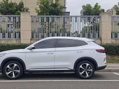 BYD Song Plus New Energy 2021 DM-i 51KM Premium Edition - ფოტო 3