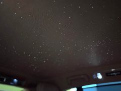 Toyota Zun S800 Extended Range Starlight Executive Edition 4-Seater (192-line LiDAR) - ფოტო 19