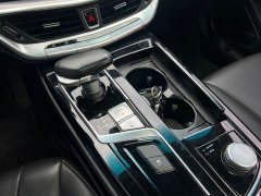 Geely Emgrand 1.8T Pilot Plus - ფოტო 18