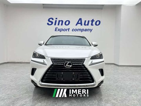 2021 Lexus NX 2020 200 FWD Sharp Edition National VI - ავტომობილი ჩინეთიდან