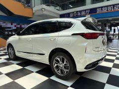 Haval Chitu 1.5T Excellence - ფოტო 5