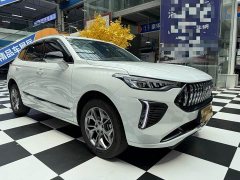 Haval Chitu 1.5T Excellence - ფოტო 9