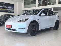 Tesla Model Y Rear-Wheel Drive - ფოტო 1