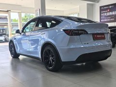 Tesla Model Y Rear-Wheel Drive - ფოტო 16