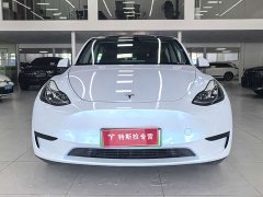 Tesla Model Y Rear-Wheel Drive - ფოტო 2