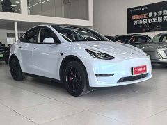 Tesla Model Y Rear-Wheel Drive - ფოტო 3