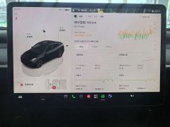Tesla Model Y Rear-Wheel Drive - ფოტო 8