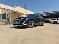 Audi e-tron 2021 50 quattro Premium - ფოტო 1