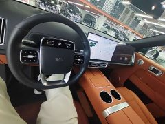 Li Auto L9 Max - ფოტო 7