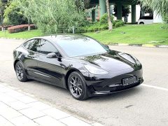 Tesla Model 3 Standard Range RWD Upgrade - ფოტო 2