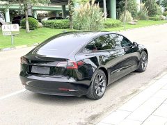 Tesla Model 3 Standard Range RWD Upgrade - ფოტო 4