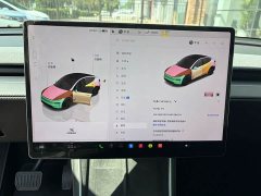 Tesla Model Y Rear-Wheel Drive - ფოტო 6