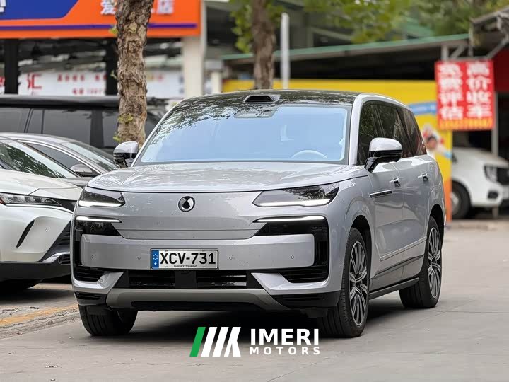 Denza BYD Denza N9 Premium Edition - ავტომობილი ჩინეთიდან
