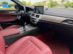 BMW 5 Series Facelift 530Li Premier M Sport Package - ფოტო 11