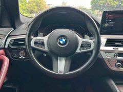 BMW 5 Series Facelift 530Li Premier M Sport Package - ფოტო 7