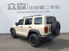 Tank 300 2.0T Gasoline Conqueror - ფოტო 4