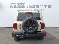 Tank 300 2.0T Gasoline Conqueror - ფოტო 5