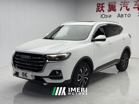 2022 Haval H6 2021 National Trend Edition 1.5T Automatic Urban Version - ავტომობილი ჩინეთიდან