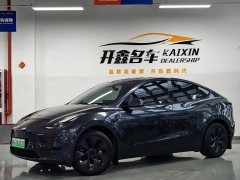 Tesla Model Y Rear-Wheel Drive - ფოტო 1