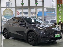 Tesla Model Y Rear-Wheel Drive - ფოტო 3